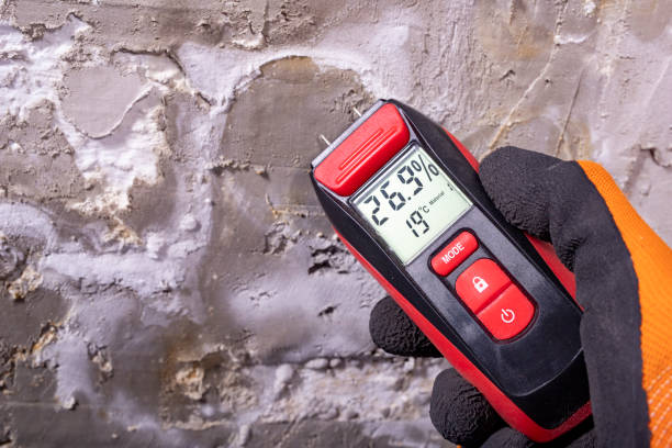 Mold Removal Process in Montrose, PA
