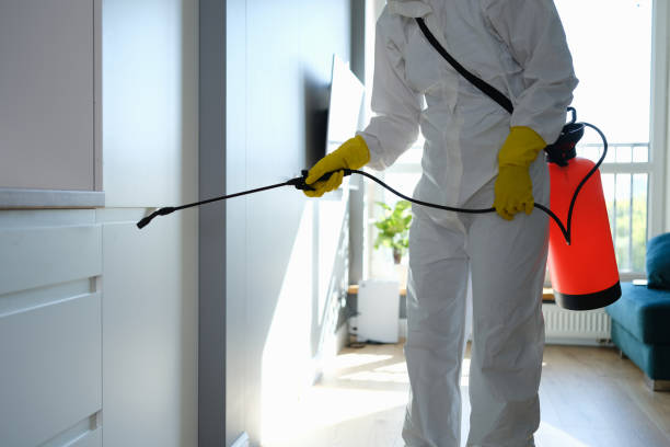 Best Mold Removal Specialists  in Montrose, PA