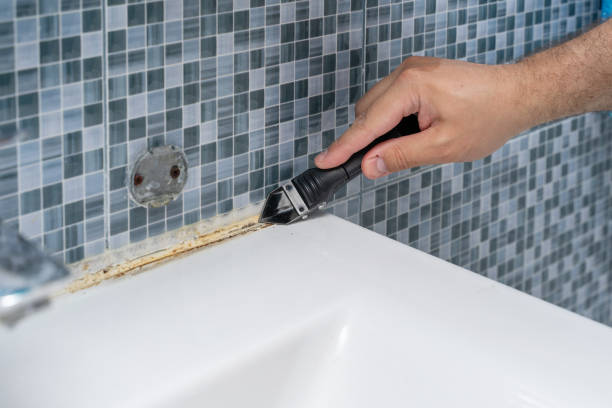 Best Best Mold Removal Companies  in Montrose, PA