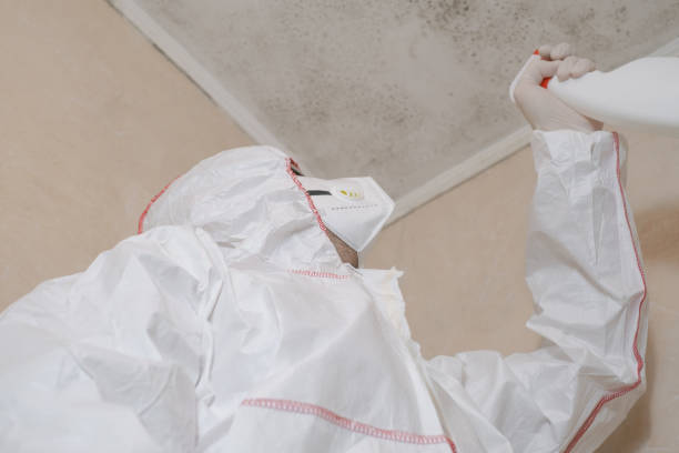 Best Mold Removal Company Near Me  in Montrose, PA
