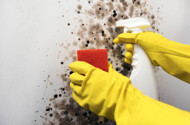 Water Damage Restoration in Montrose, PA